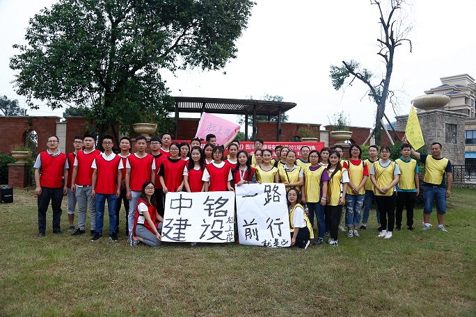 團隊協作展活力，凝心聚力鑄輝煌